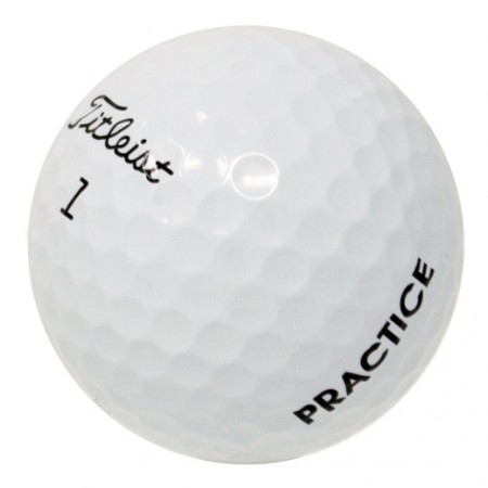 Titleist Pro V1 2018 PGA Tour Players Practice Golf Balls - 1 Dozen